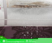 Thi công chống dột trần nhà tại TP.HCM