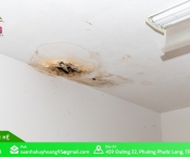 Thi công chống dột trần nhà tại Phường Phước Long
