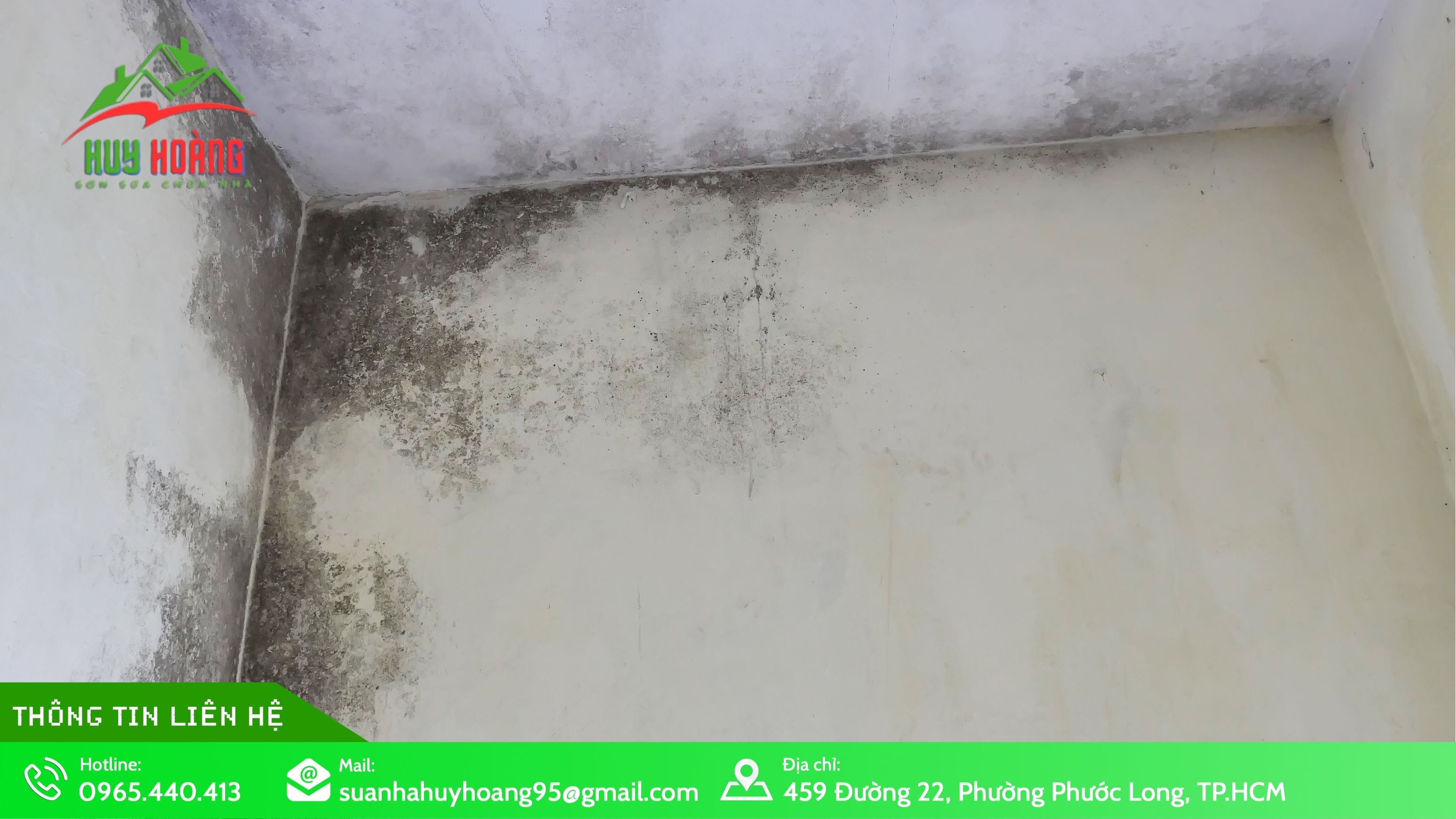 Dịch vụ sửa nhà bị thấm dột tại TP.HCM